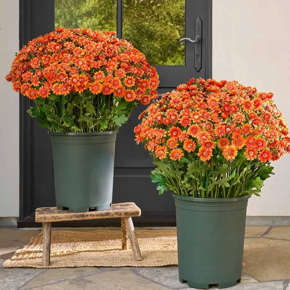 Funsdecor Mums, Artificial Sunset Mums, Artificial Outdoor Sunset Mums Flowers - UV Resistant, Wa... | Amazon (US)