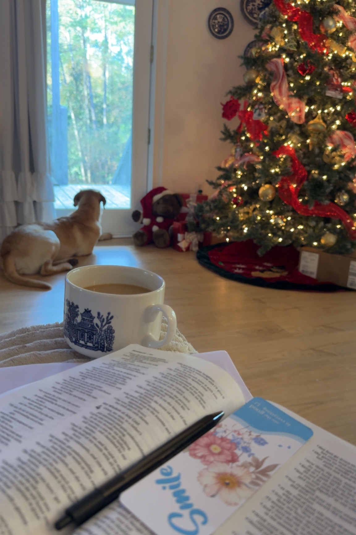 Devotional + Bible link🩷

#LTKfindsunder50 #LTKhome #LTKfamily