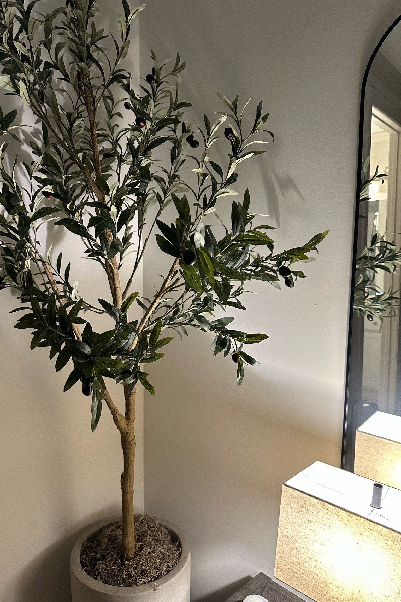 Olive trees are the perfect addition to just about any room in your home.

TheJalesaNicole, home decor, interior , faux plants

#LTKHome