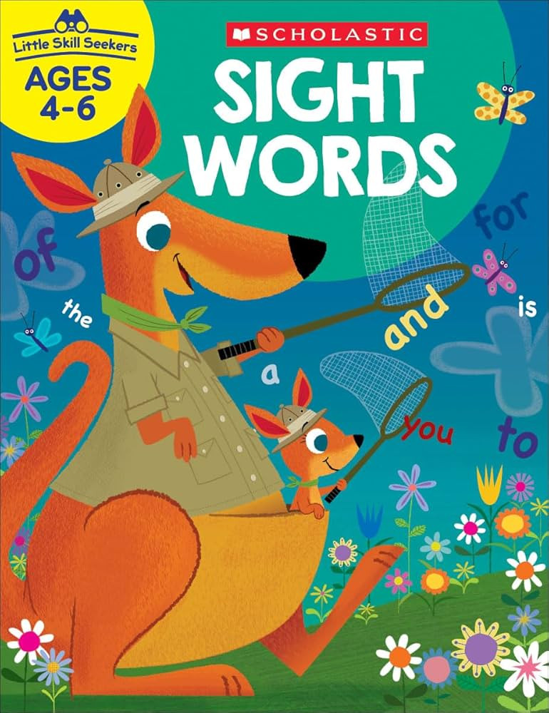 Little Skill Seekers: Sight Words | Amazon (US)