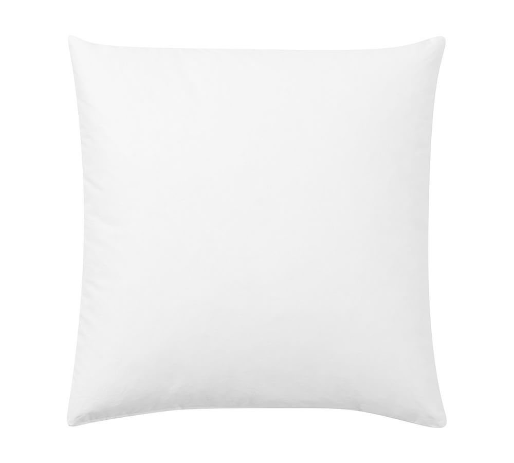 Down Feather Pillow Insert, 22&amp;quot; sq. | Pottery Barn (US)