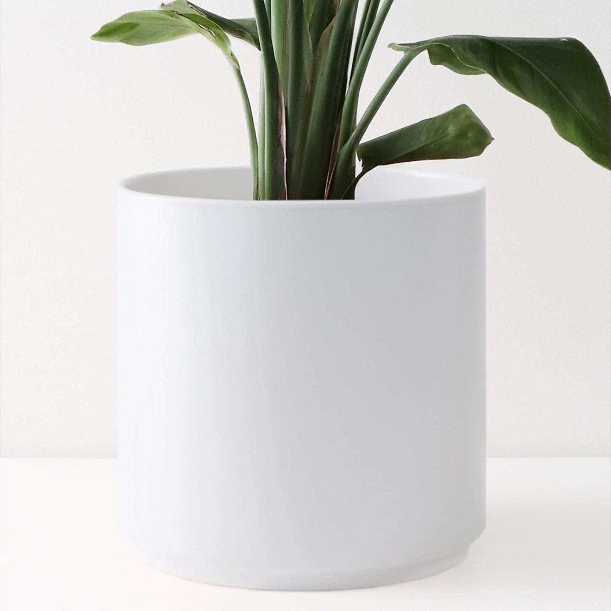 Peach & Pebble 8" Ceramic Planter (15", 12", 10", 8" or 7") - Large White Plant Pot, Hand Glazed ... | Walmart (US)