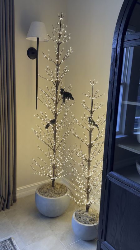These twinkling twig trees are perfect for Halloween and Christmas. I added some crows for Halloween. Definitely a holiday staple. 

Pottery barn holiday, twinkling twig trees, holiday decor, Halloween decor 

#LTKSeasonal #LTKHome #LTKVideo