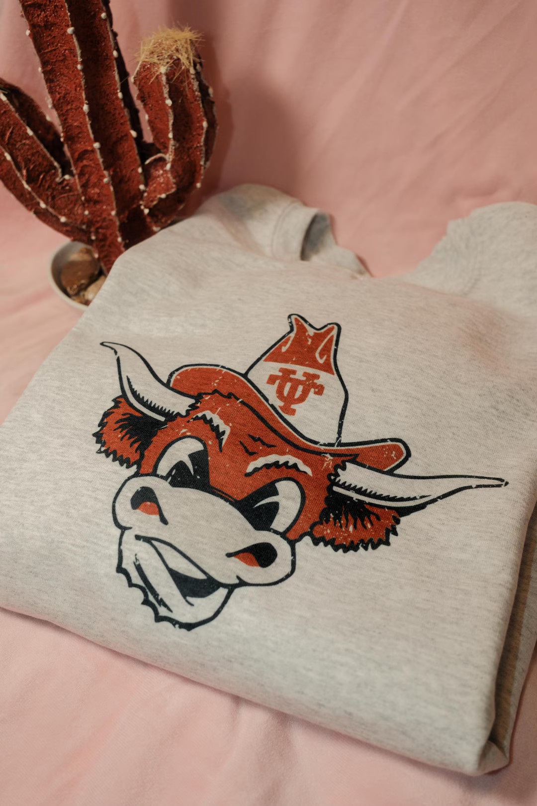 Blast From the Past Vintage Longhorn Sweatshirt - Etsy | Etsy (US)