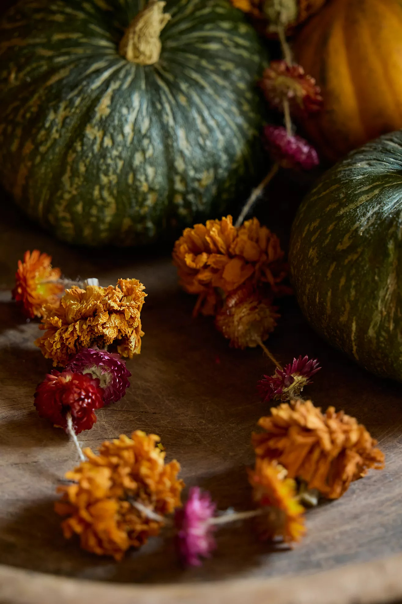 Jewel Tones Dried Floral Garland | Anthropologie (US)