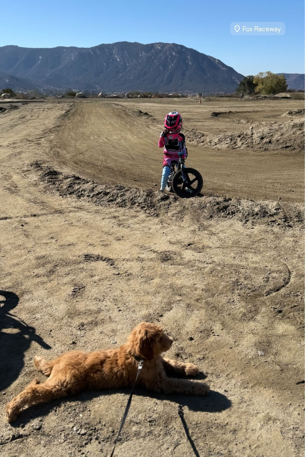 Track dog Buddy loading  

#LTKKids #LTKFamily #LTKActive