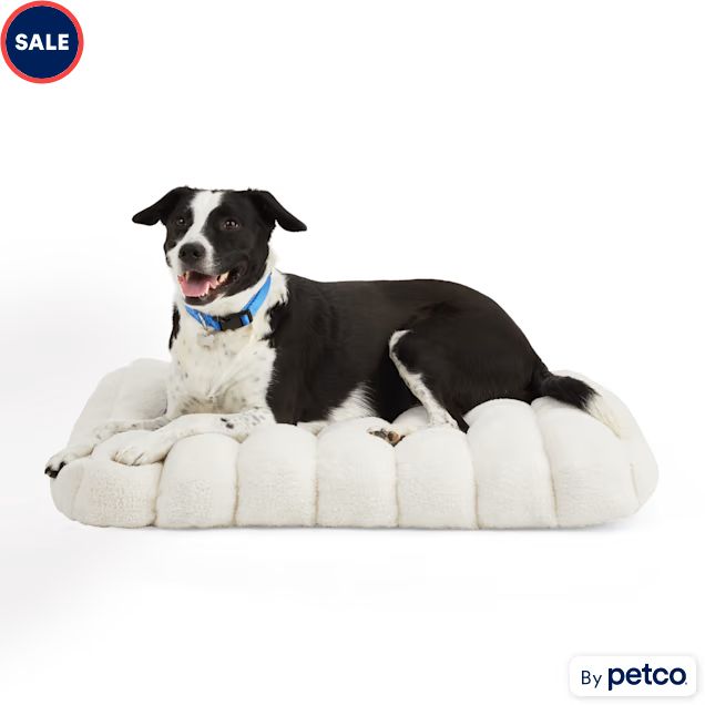 EveryYay Snooze Fest Cream Bed for Dogs, 24" L X 32" W | Petco
