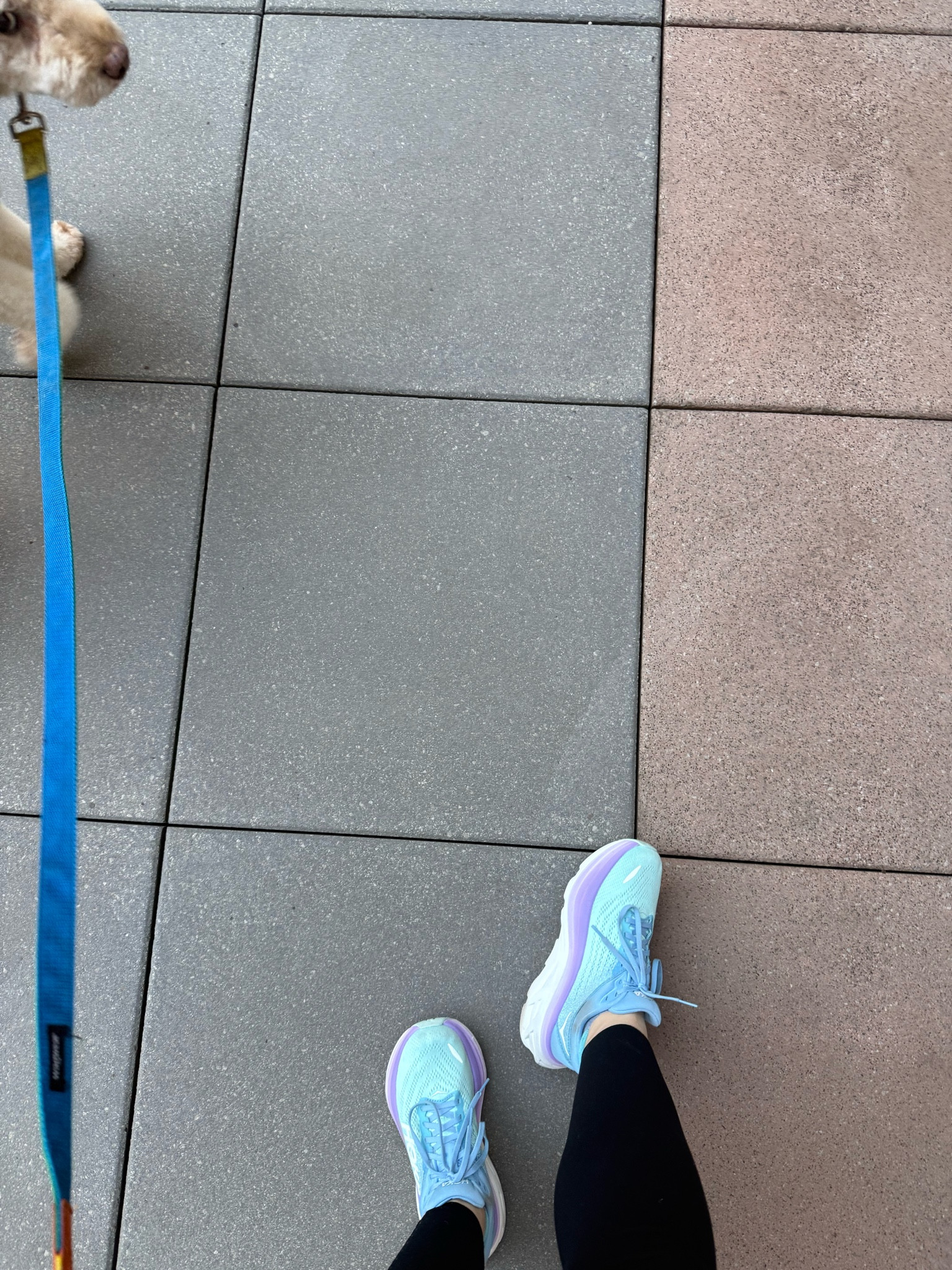 Sunny, 75 and Lou got his hair cut means I had to break out my fresh pair of walking shoes for tonight’s walk! Wearing the Hoka Bondi 8s. Sharing both Bondi 8 (on sale) and Bondi 9 styles. 💜