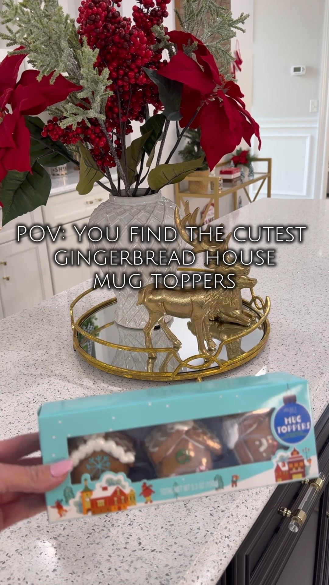 World market Santa mug and gingerbread house  mug toppers 

#LTKHoliday