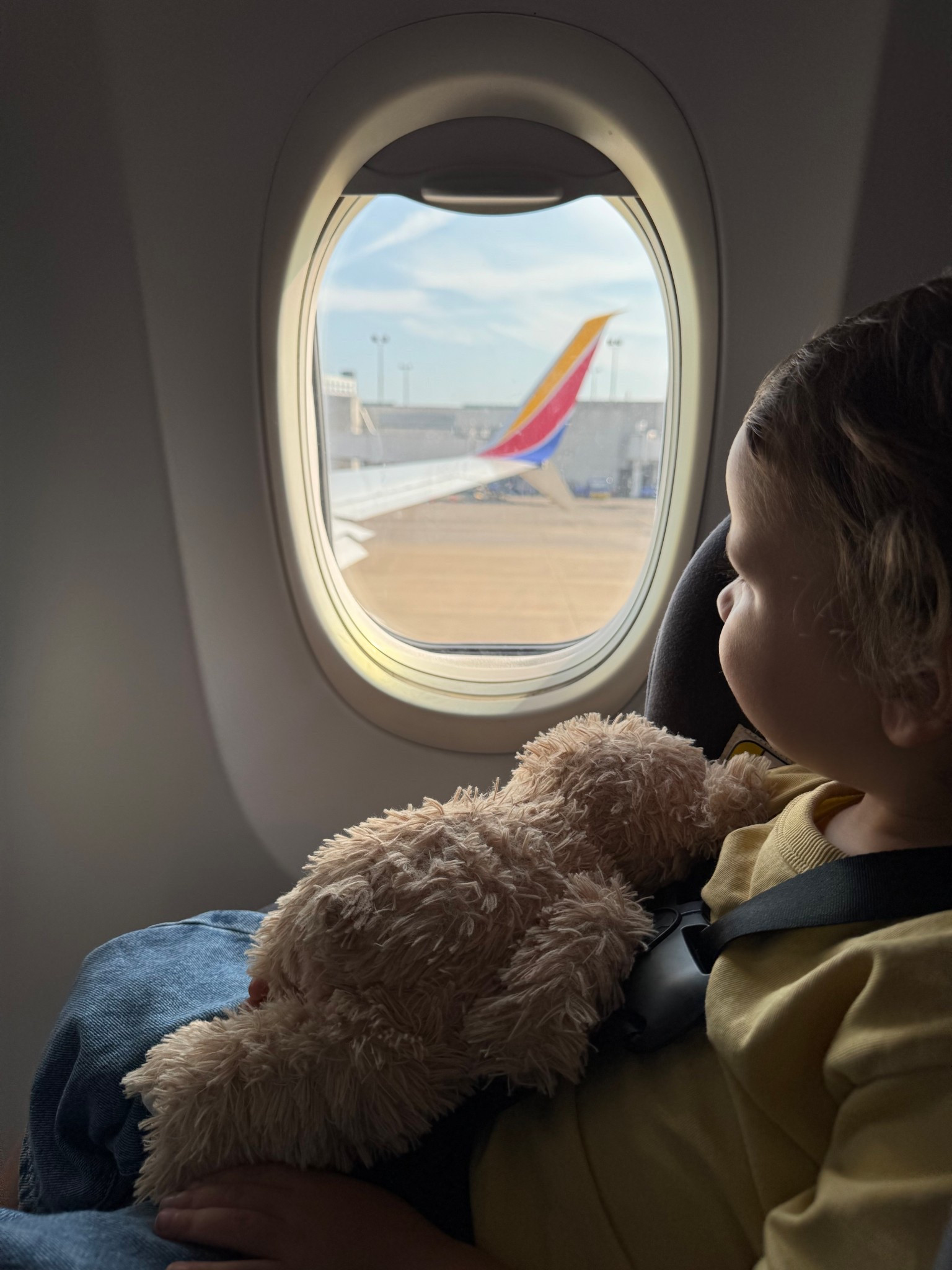 cosco scenera travel car seat

#LTKBaby #LTKTravel #LTKFindsUnder100
