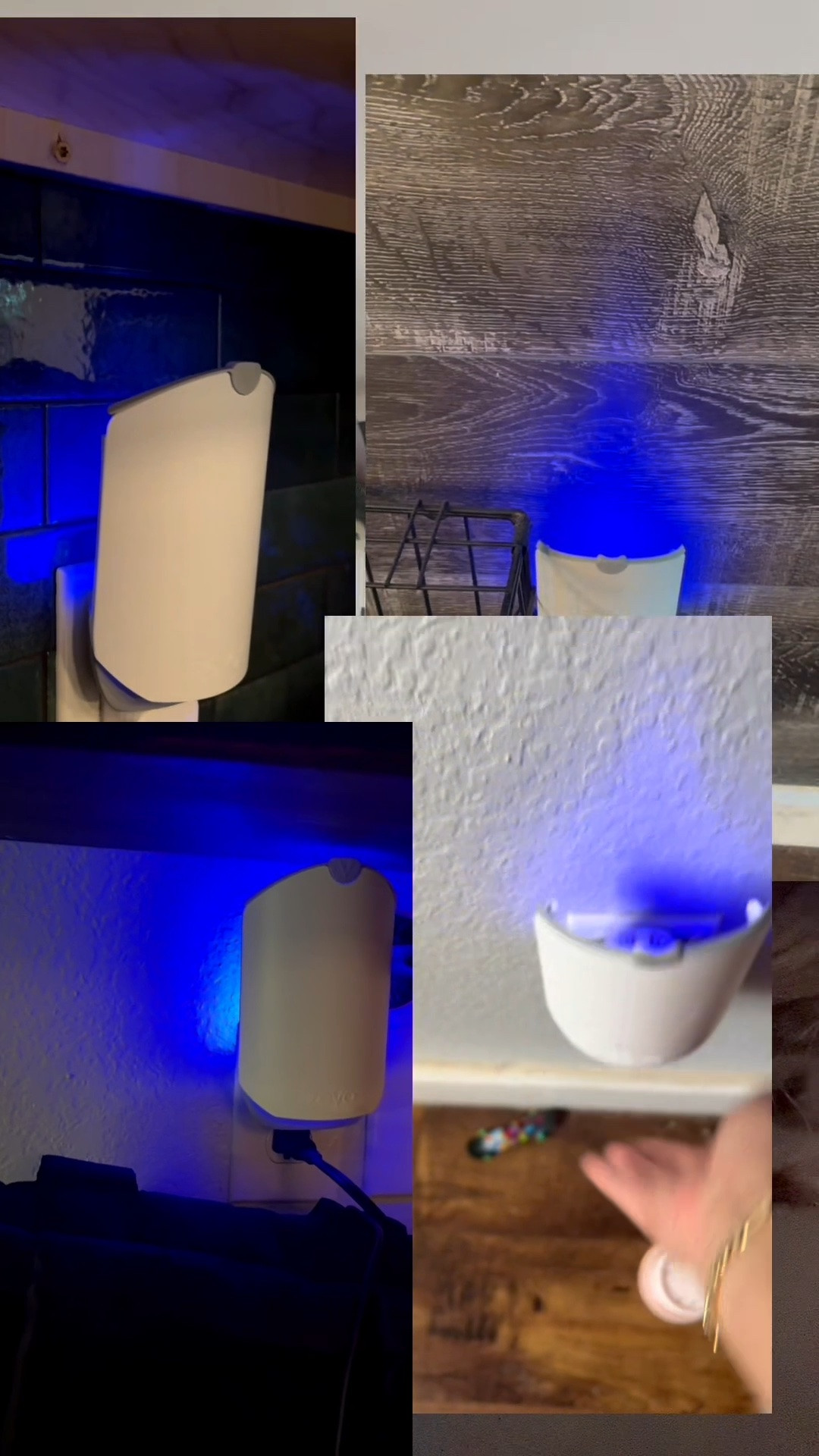 Zevo for the win for a bug and insect free home!

#LTKSaleAlert #LTKHome #LTKdayinmylife