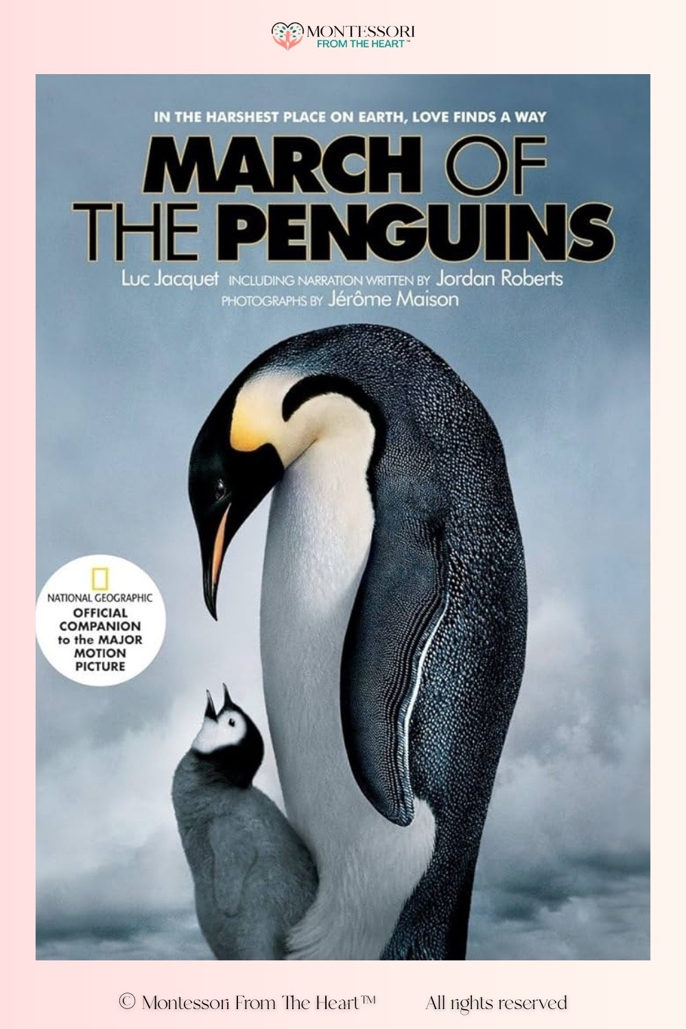March of the Penguins Book for Kids 

#LTKstorytime #LTKHome #LTKKids