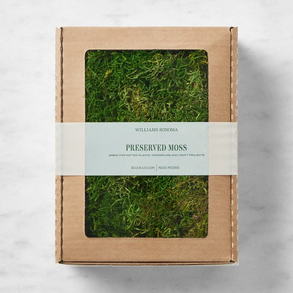Williams Sonoma Preserved Forest Moss | Williams-Sonoma
