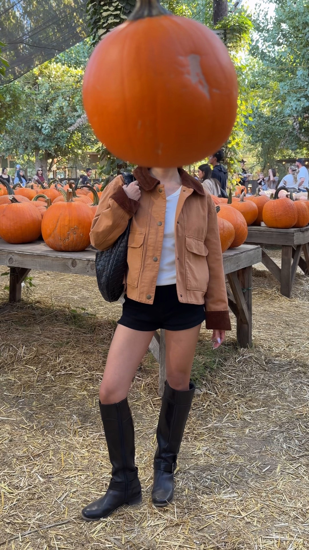 #LTKPetite #LTKSeasonal #LTKStyleTip