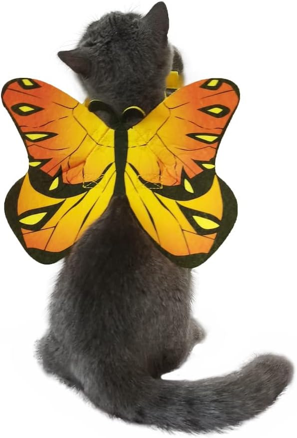 Pet Cat Bat Wings for Halloween Party Decoration, Puppy Collar Leads Cosplay Bat Costume,Cute Puppy Cat Dress Up Accessories | Amazon (US)