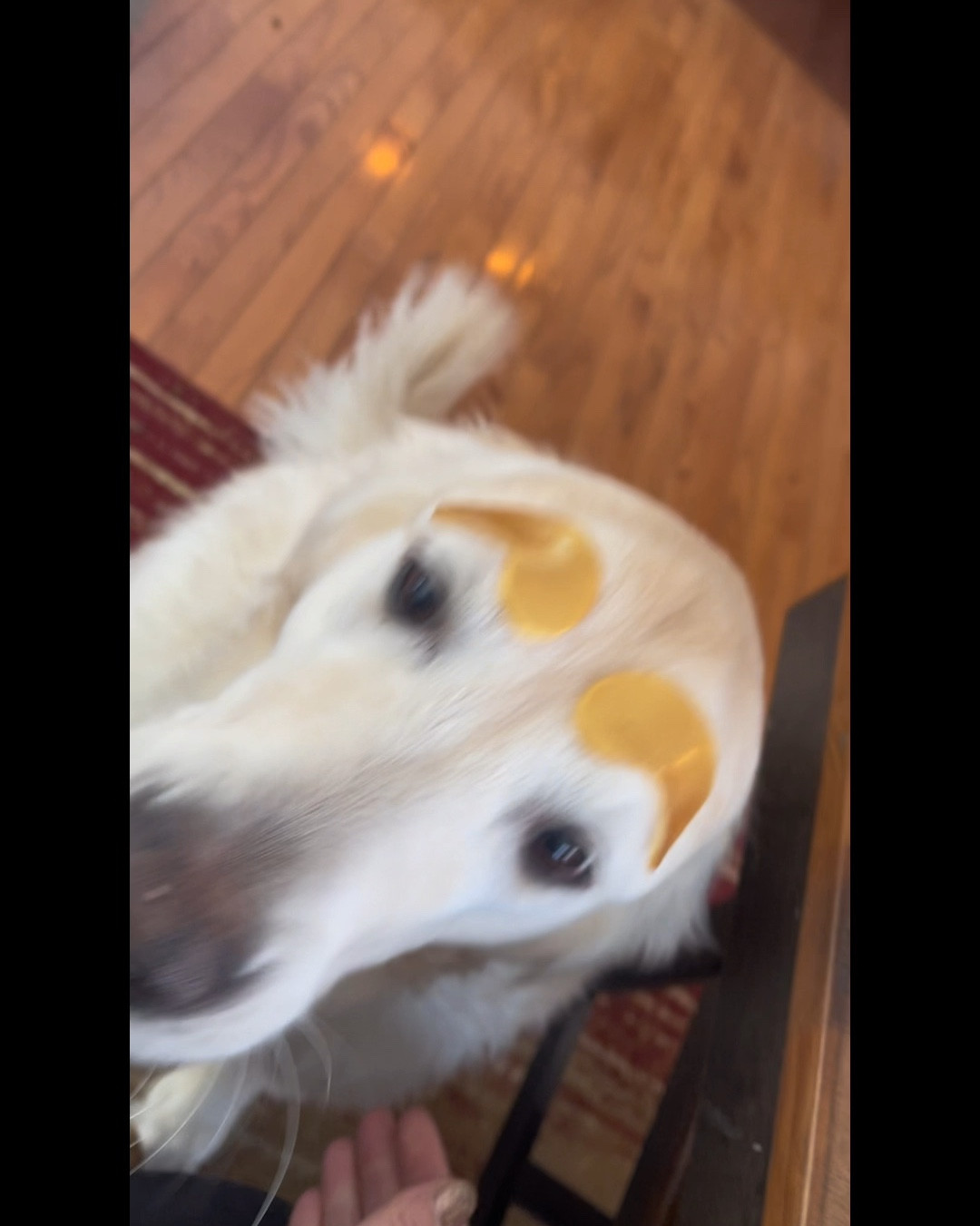 Self-Care time! 

#LTKSaleAlert #LTKBeauty #LTKWatchNow