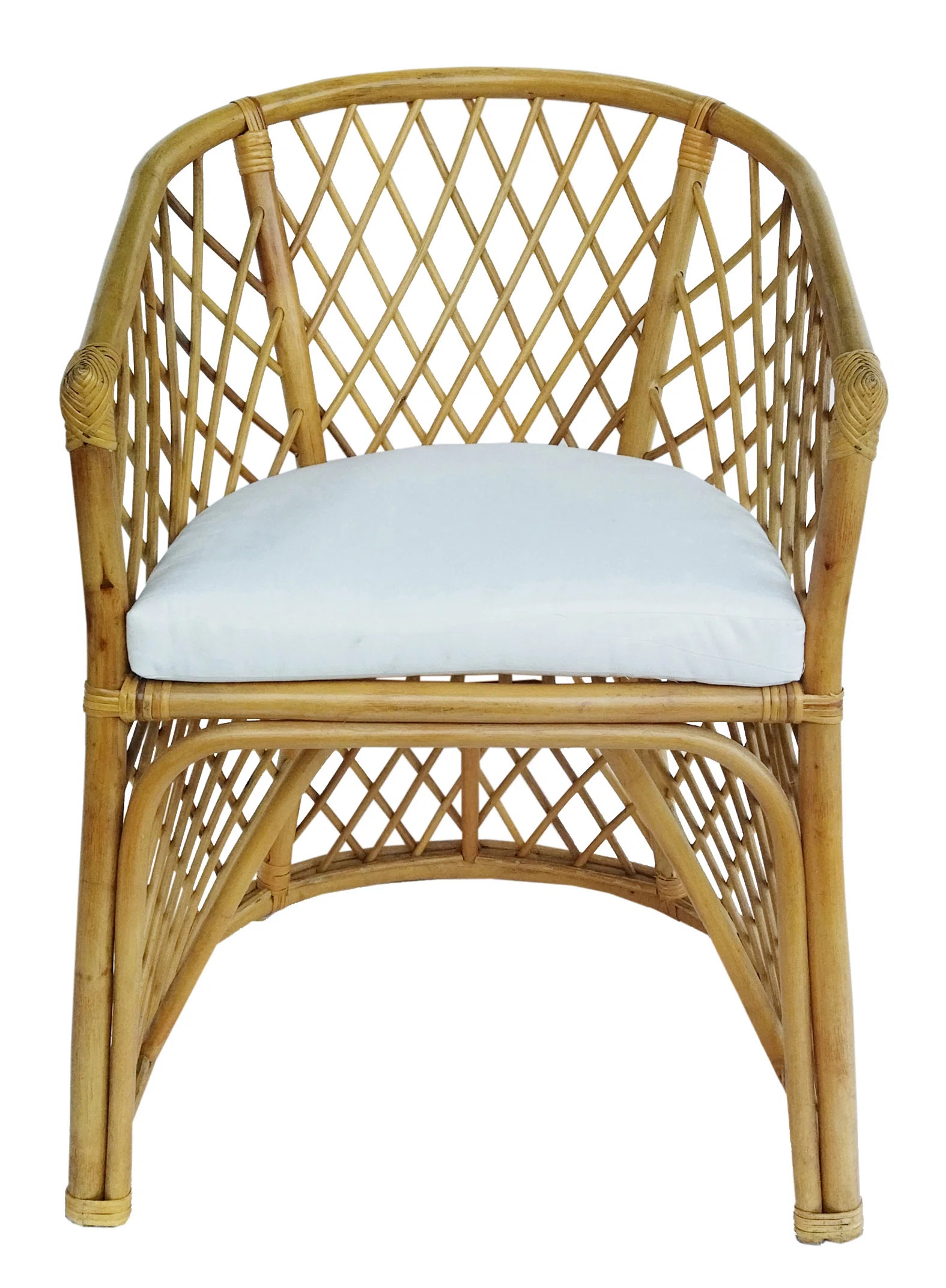 Rattan Palm Chair | Wayfair North America