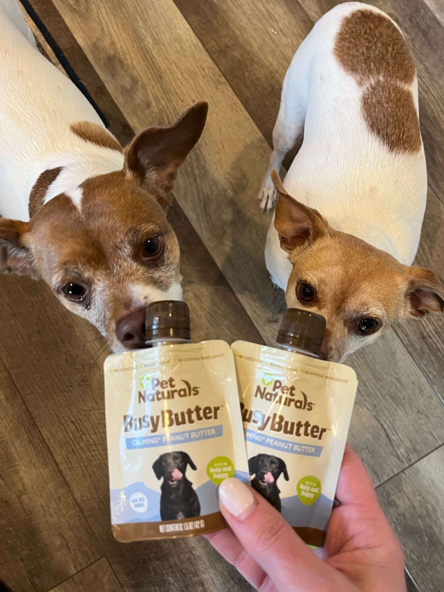 A great way to calm down dogs  during fireworks & keep them busy 🐶🐶

#LTKfamily #LTKFind