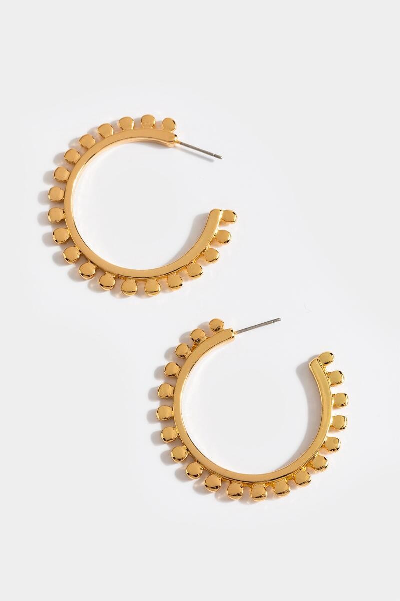 Charlotte Circle Trim Hoops | Francesca’s Collections
