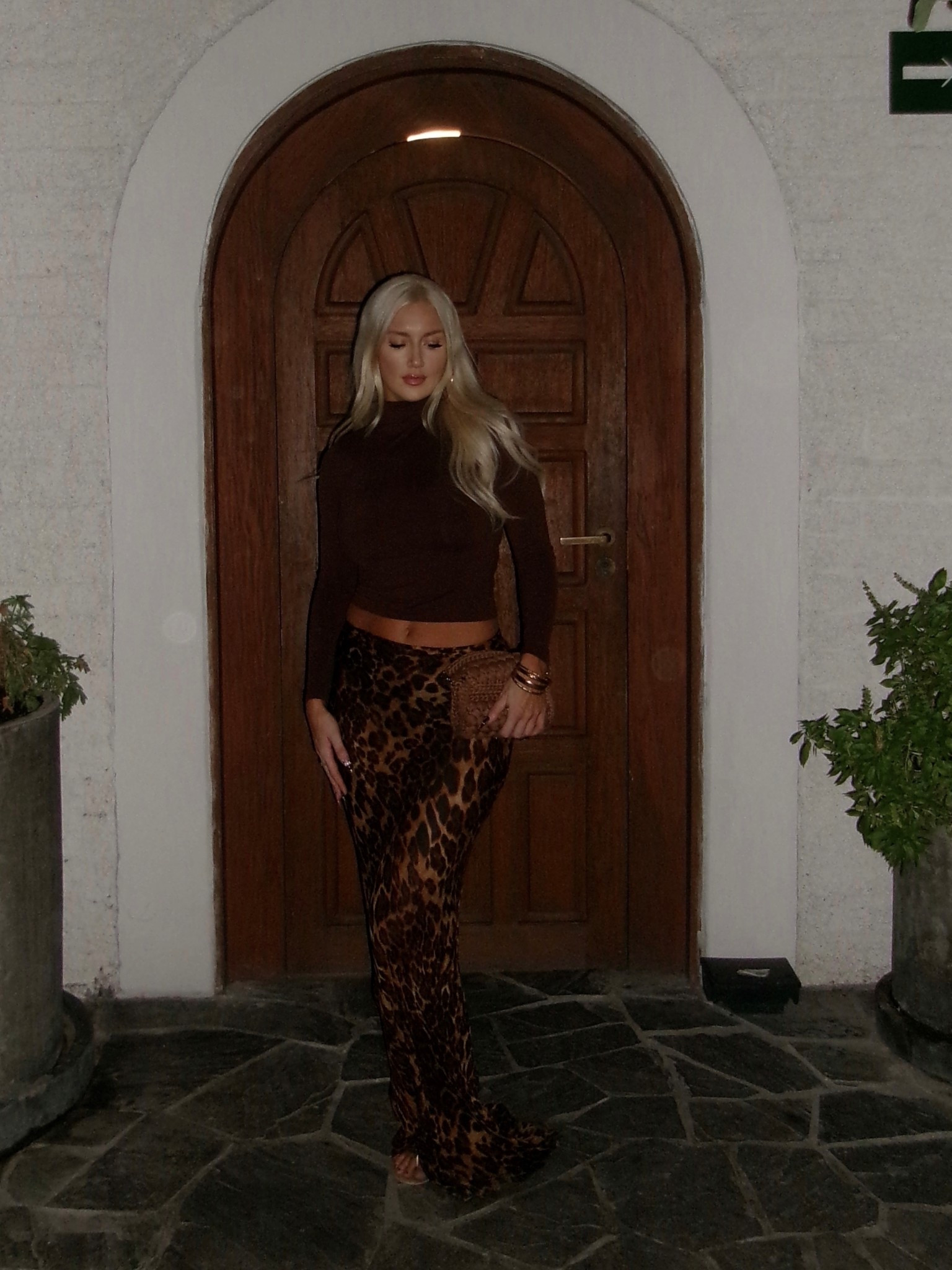 | What I wore on vacation | Animal print vibes tonight with this casual yet elevated dinner outfit on my vacation to Mexico. All SHEIN outfit for girlies looking for affordable fashion finds 🐯🍹(I wore the dress as a skirt) 5ft9 btw #vacationstyle #dinneroutfit #animalprint #outfitinspo

#LTKTravel #LTKootd #LTKTall