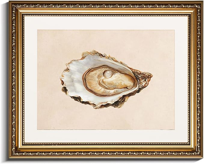 InSimSea Gold Framed Wall Art, Vintage Oyster Shell Sketch Kitchen Wall Decor, Still Life Canvas ... | Amazon (US)