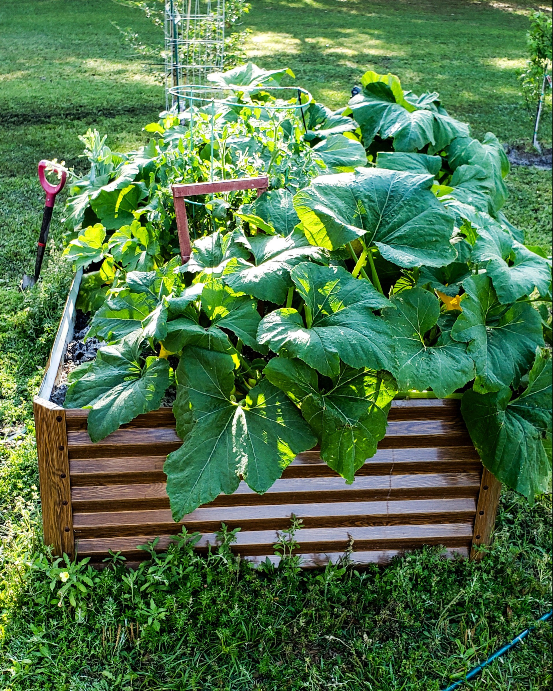 Add a raised bed to the garden for your fresh veggies to grow.  #LTKgarden

#LTKhome