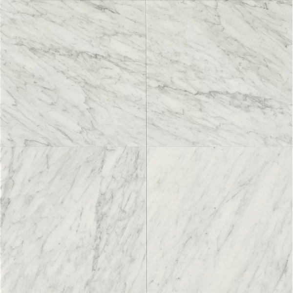 24" x 24" Marble Field Tile in White Carrara | Wayfair North America