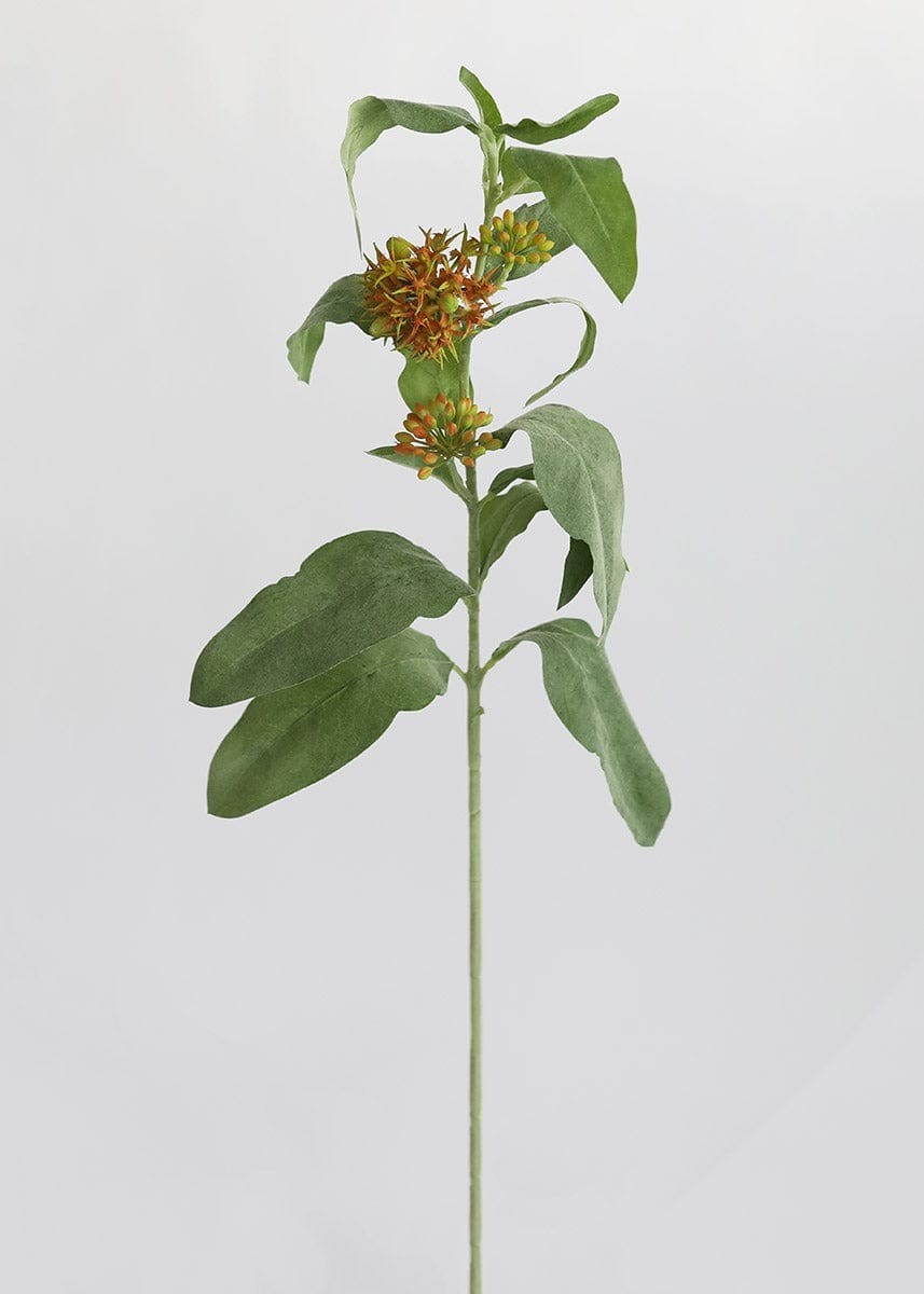 Orange Artificial Milkweed Flower - 31 | Afloral (US)