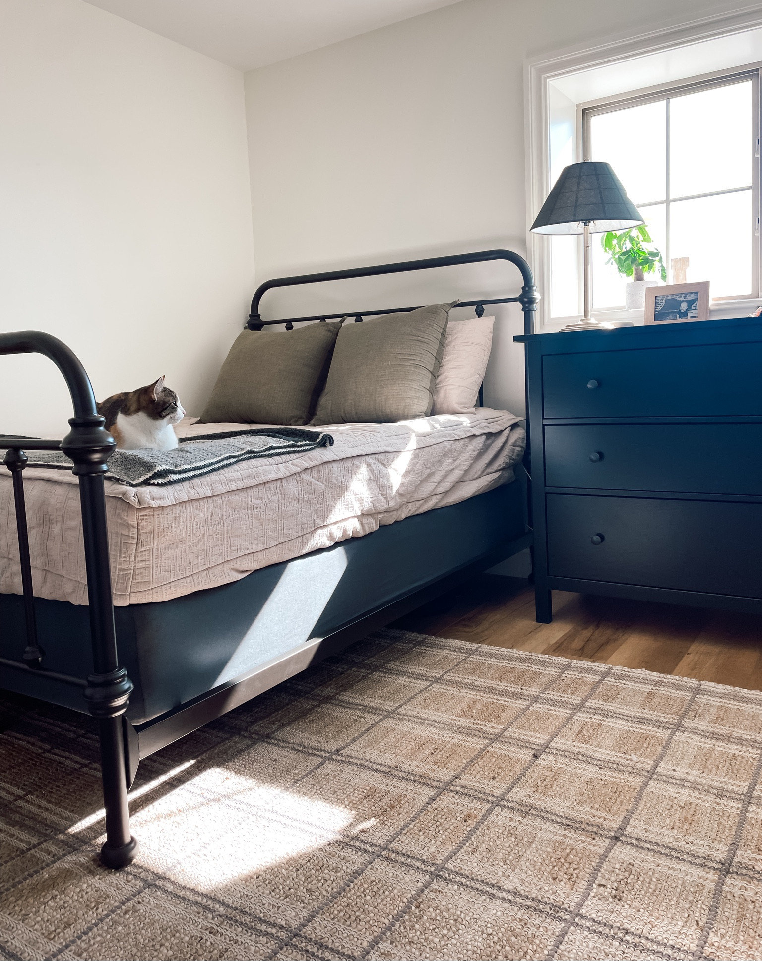 This rug is a great start to this room. Can’t wait to put up wallpaper! 

#LTKSpringSale #LTKhome #LTKMostLoved