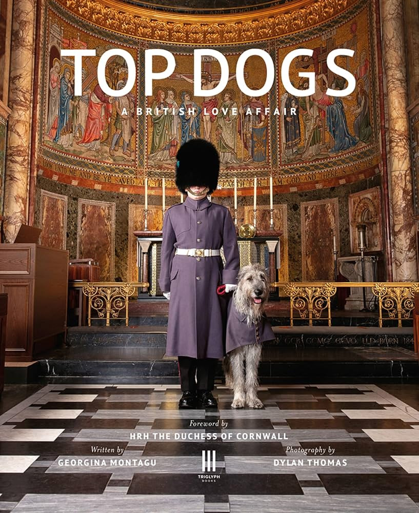 Top Dogs: A British Love Affair | Amazon (US)
