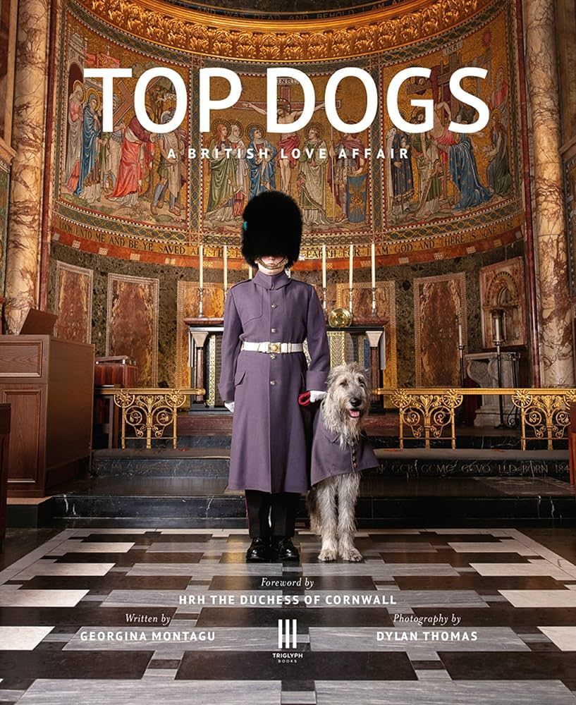 Top Dogs: A British Love Affair | Amazon (US)
