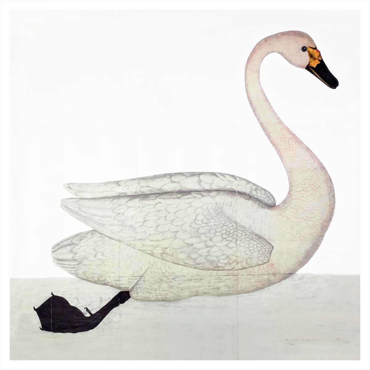 Remastered 17th C. Swedish Swan
 – Paloma and Co. | Paloma & Co.