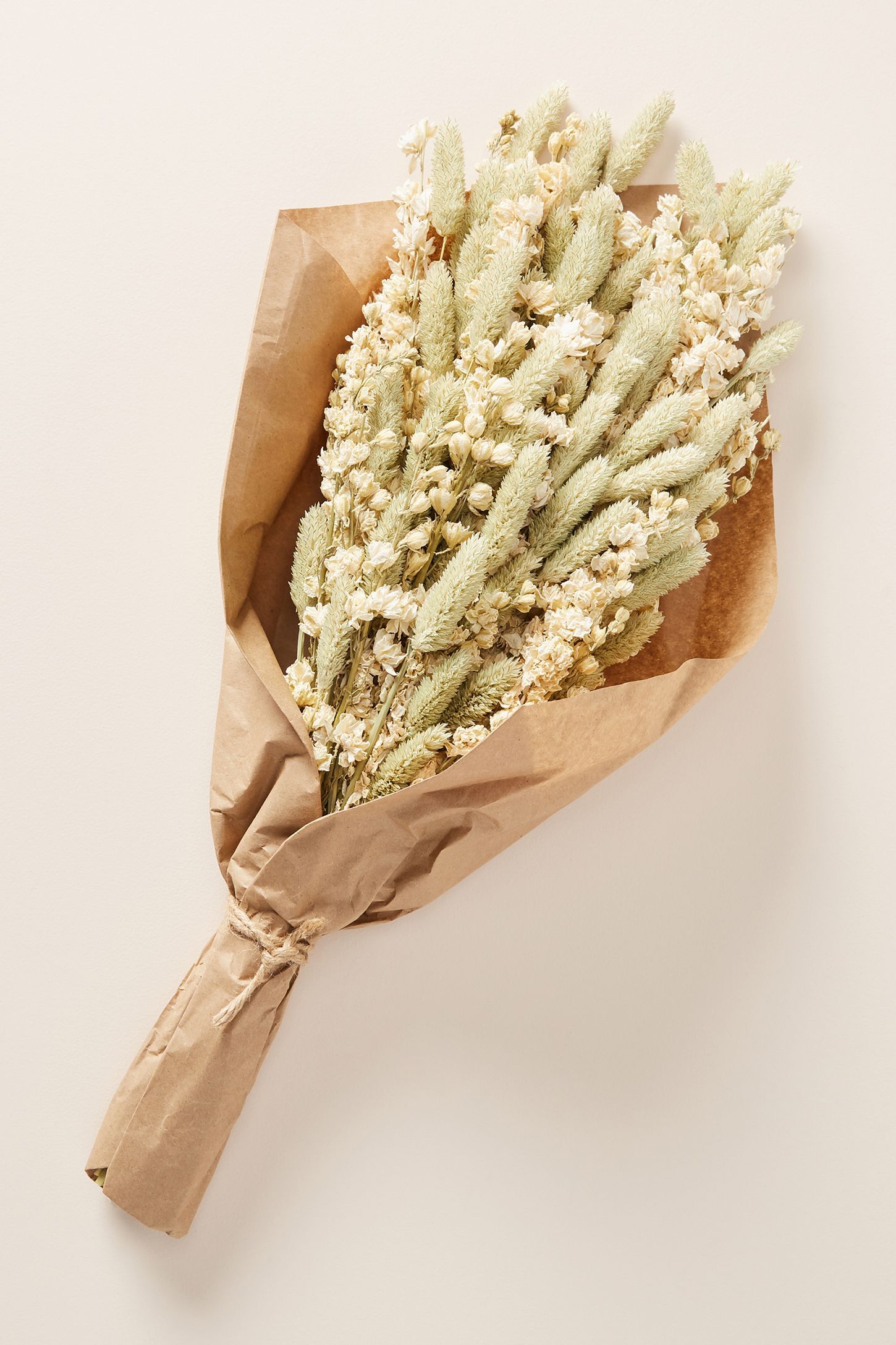Dried Larkspur Bouquet | Anthropologie (US)