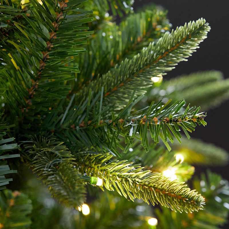 (C7) Pre-Lit LED Iris Spruce Christmas Tree, 9' | At Home