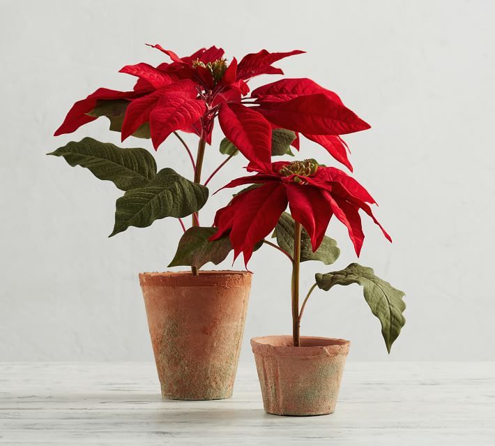 Faux Potted Poinsettias - Red | Pottery Barn (US)