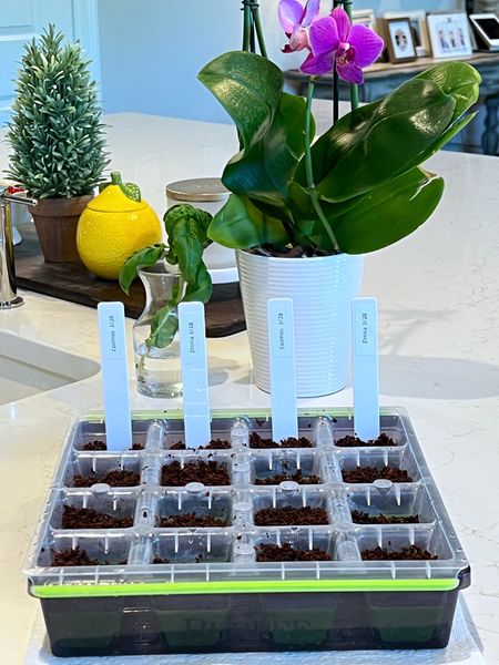 I started my flower garden seeds indoors in this seed starter tray that makes it easy to pop out (because they're flexible) and transplant outdoors. I used starter pods and flower seeds that will grow well in my area. To my surprise, the seeds germinated after just 2 days. The tray is reusable too, so I will be able to use it over and over again.
#amazonfinds #springrefresh #gardenessentials #outdoormusthaves

#LTKstyletip #LTKhome #LTKSeasonal