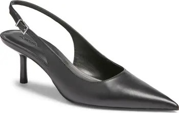 Liza Slingback Pointed Toe Pump (Women) | Nordstrom