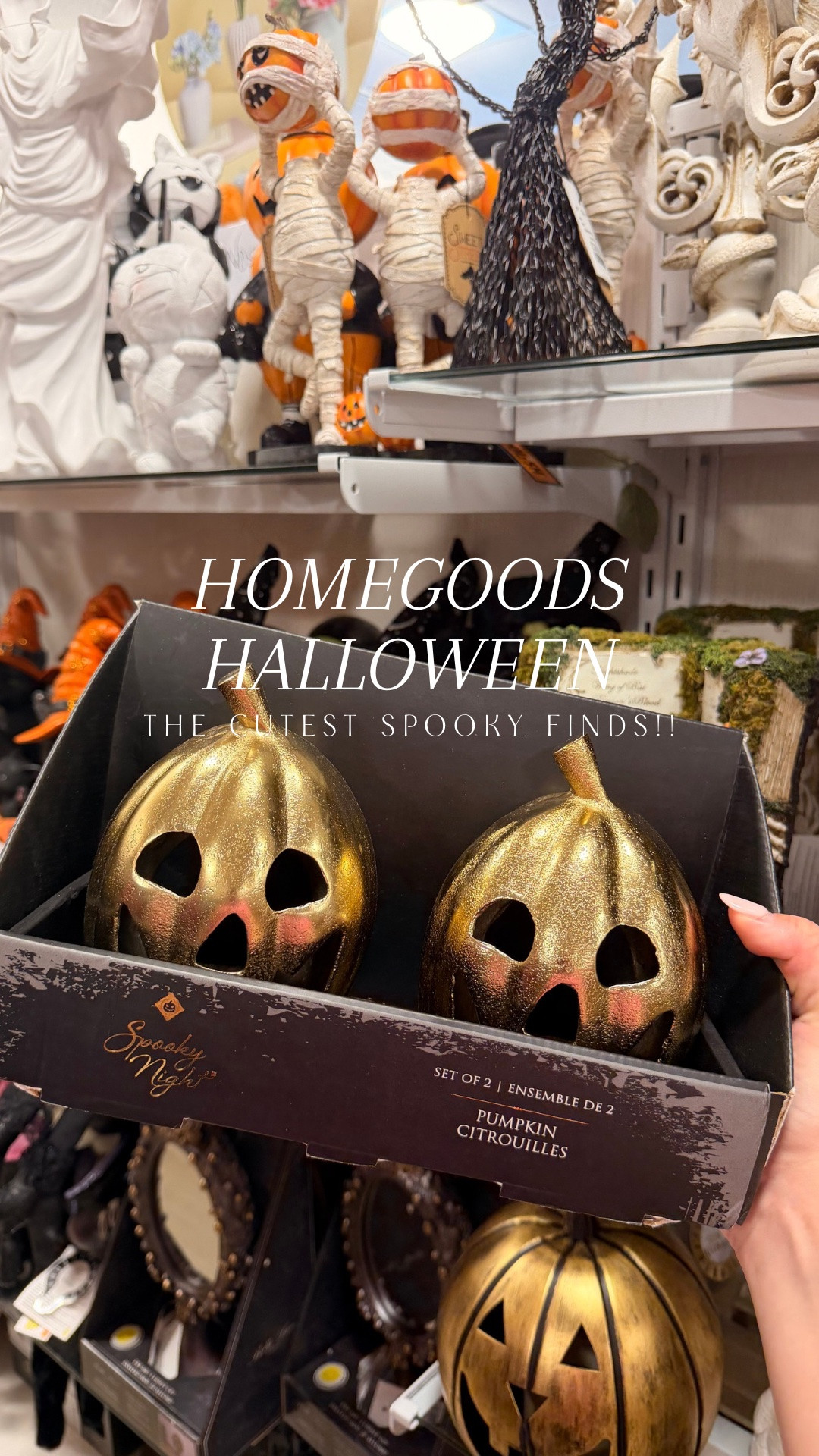 HomeGoods Halloween this year 😮‍💨

The CUTEST finds ever!! 🎃👻

#halloween #homegoods #homegoodsfinds #halloweenhaul #spookydecor

#LTKHome #LTKSeasonal