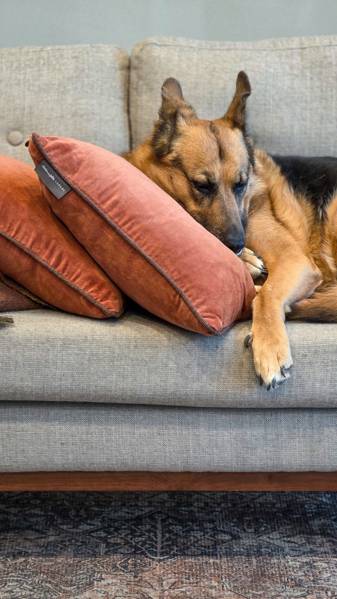 I think it’s safe to say we both love these rust colored Chris Loves Julia x Loloi pillows.

#LTKHome #LTKFindsUnder50 #LTKFindsUnder100
