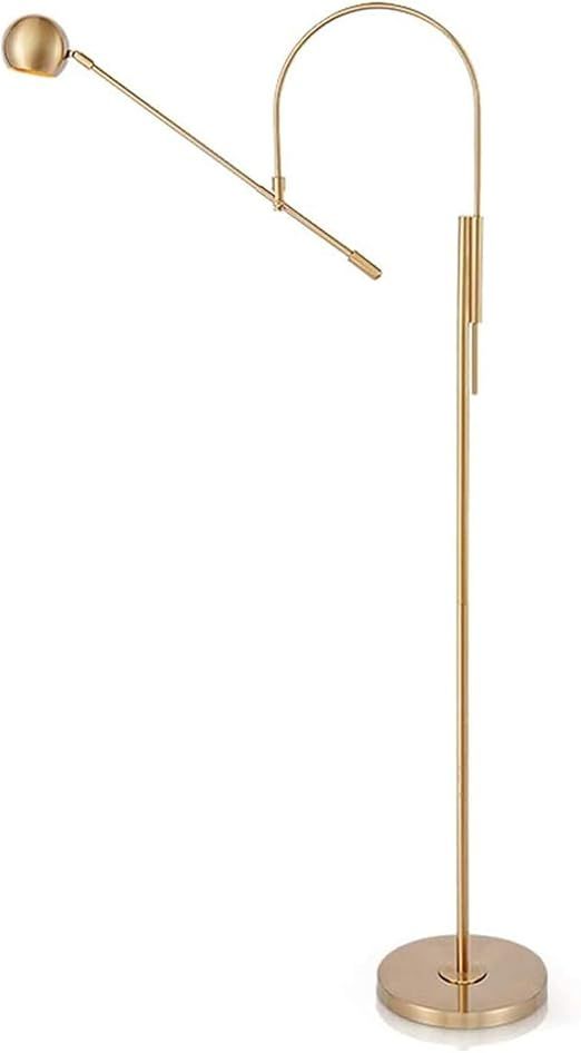 TOMYEUS Standing Lamp Floor Lamp with Adjust The Arm Reading Standing Lamp, 61 Inches, Antique Br... | Amazon (US)