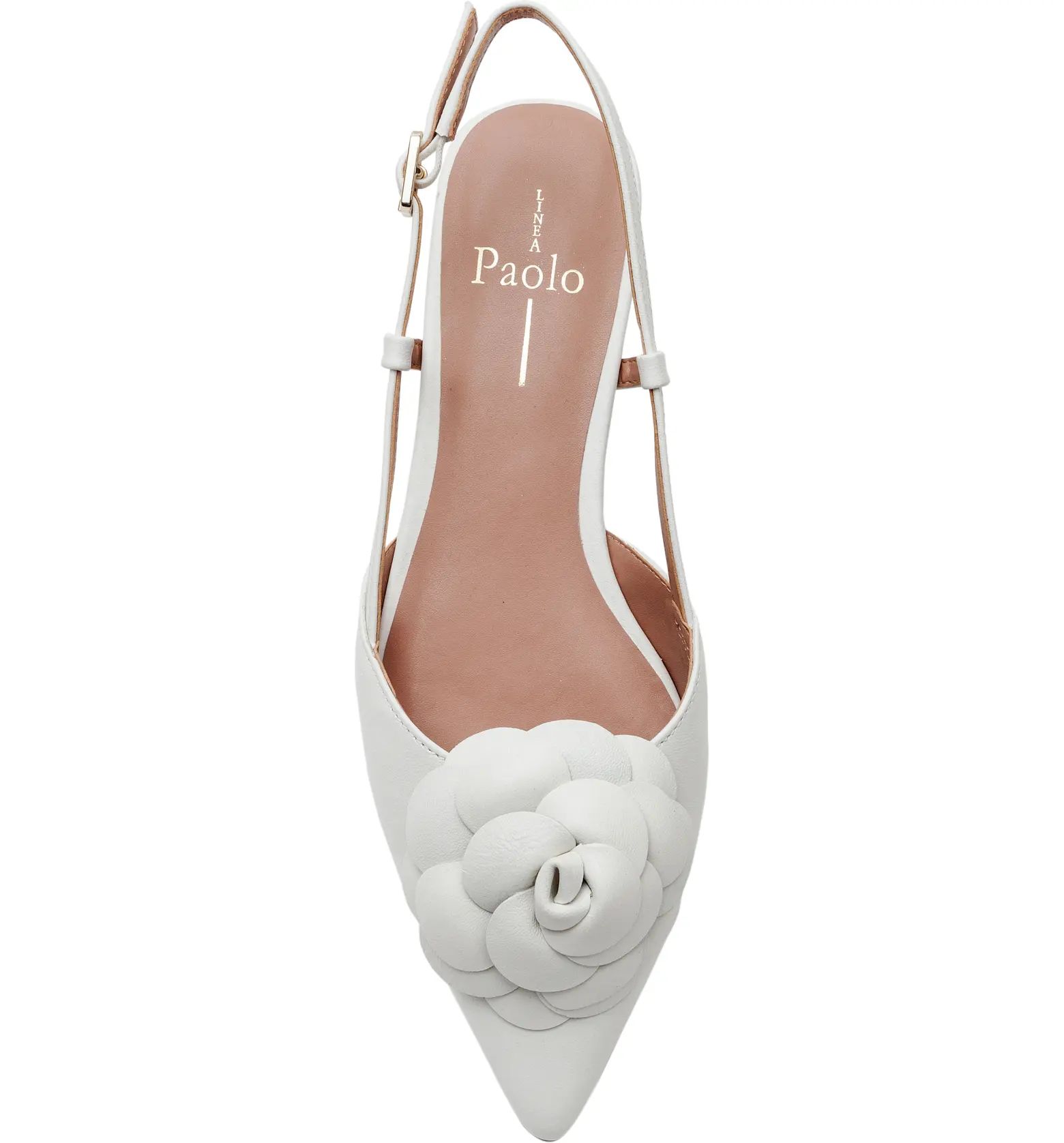 Linea Paolo Cammy Slingback Pointed Toe Flat | Nordstrom | Nordstrom