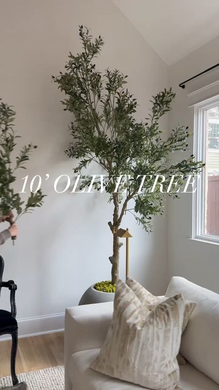Love how tall and affordable this 10’ olive tree is I purchased for my home!  I added moss, a planter, and up lights for an elevated look! 🥰 

Amazon, Rug, Home, Console, Amazon Home, Amazon Find, Look for Less, Living Room, Bedroom, Dining, Kitchen, Modern, Restoration Hardware, Arhaus, Pottery Barn, Target, Style, Home Decor, Summer, Fall, New Arrivals, CB2, Anthropologie, Urban Outfitters, Inspo, Inspired, West Elm, Console, Coffee Table, Chair, Pendant, Light, Light fixture, Chandelier, Outdoor, Patio, Porch, Designer, Lookalike, Art, Rattan, Cane, Woven, Mirror, Luxury, Faux Plant, Tree, Frame, Nightstand, Throw, Shelving, Cabinet, End, Ottoman, Table, Moss, Bowl, Candle, Curtains, Drapes, Window, King, Queen, Dining Table, Barstools, Counter Stools, Charcuterie Board, Serving, Rustic, Bedding, Hosting, Vanity, Powder Bath, Lamp, Set, Bench, Ottoman, Faucet, Sofa, Sectional, Crate and Barrel, Neutral, Monochrome, Abstract, Print, Marble, Burl, Oak, Brass, Linen, Upholstered, Slipcover, Olive, Sale, Fluted, Velvet, Credenza, Sideboard, Buffet, Budget Friendly, Affordable, Texture, Vase, Boucle, Stool, Office, Canopy, Frame, Minimalist, MCM, Bedding, Duvet, Looks for Less

#LTKSeasonal #LTKVideo #LTKhome