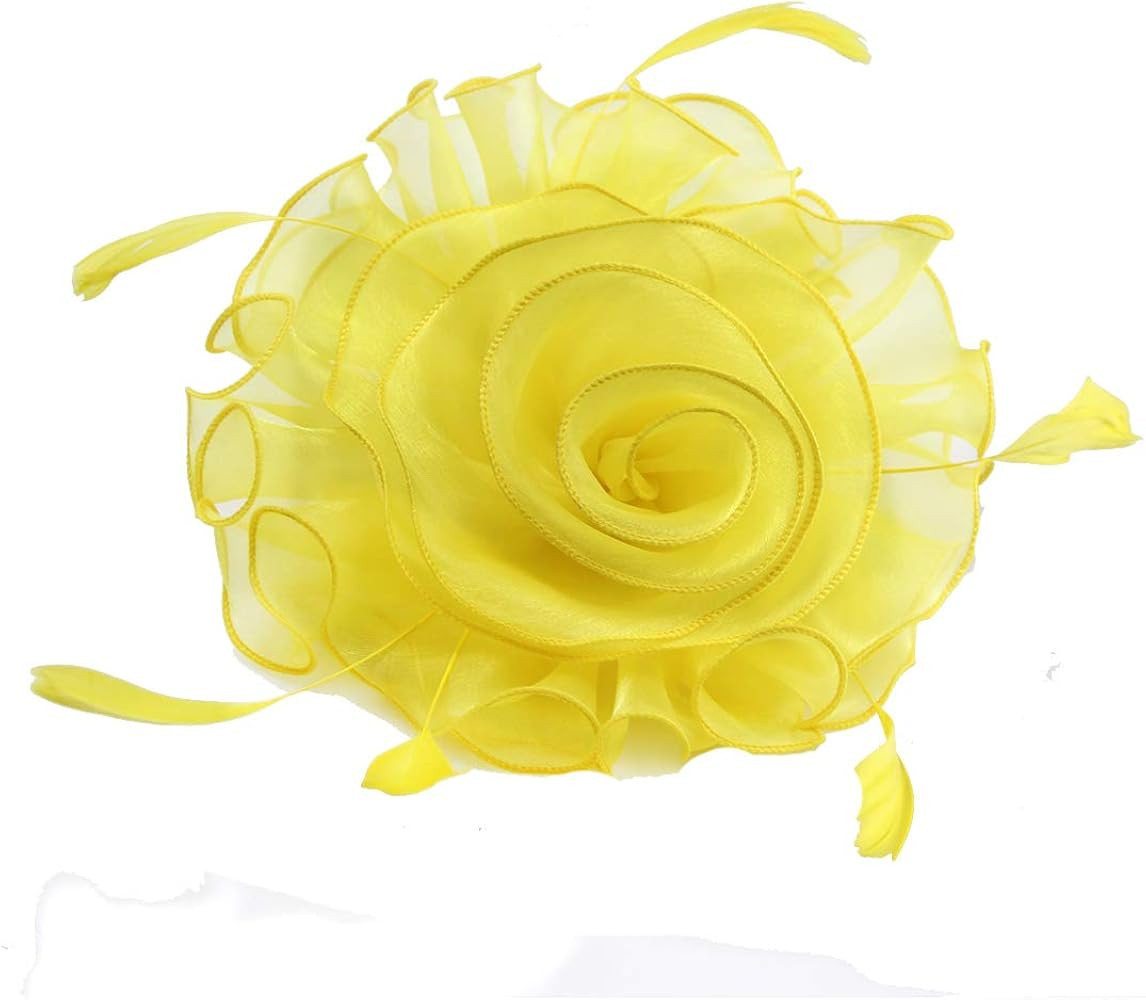 HNBQMX Fascinator Hat 20s Pillbox Hat Cocktail Tea Party Hat Kentucky Derby Wedding Headwear for ... | Amazon (US)