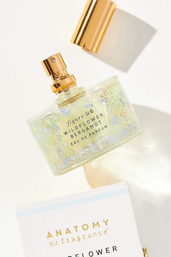 Anatomy of a Fragrance Eau De Parfum | Anthropologie (US)
