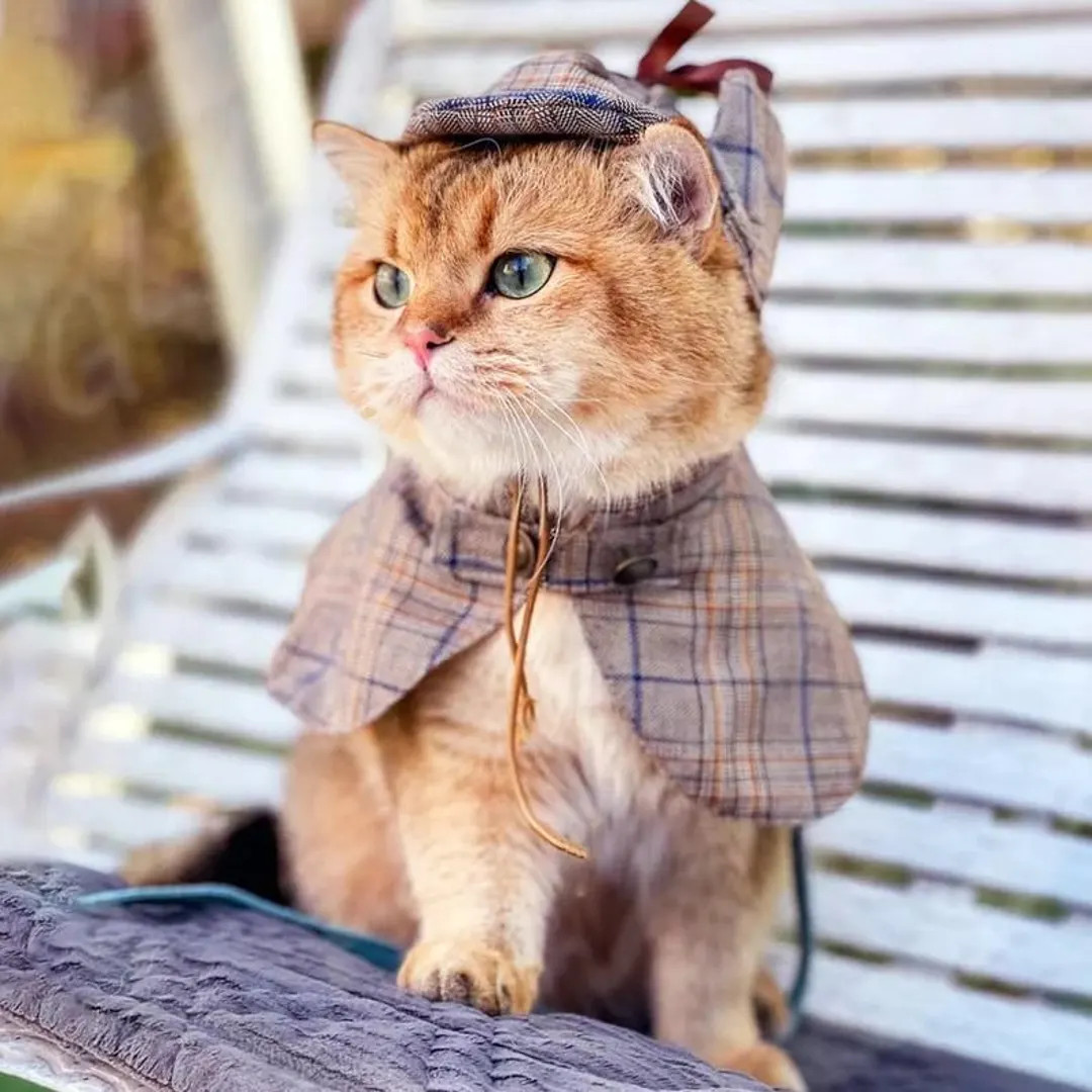 Cat Detective Costume Halloween, Sherlock Holmes Cape & Deerstalker Hat for Cats and Dogs, Pet De... | Etsy (US)