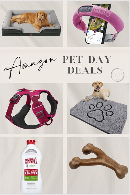 Amazon Per Day Deals. These are some of my favorite pet items that we use all the time  

#LTKFamily #LTKFindsUnder50 #LTKSaleAlert