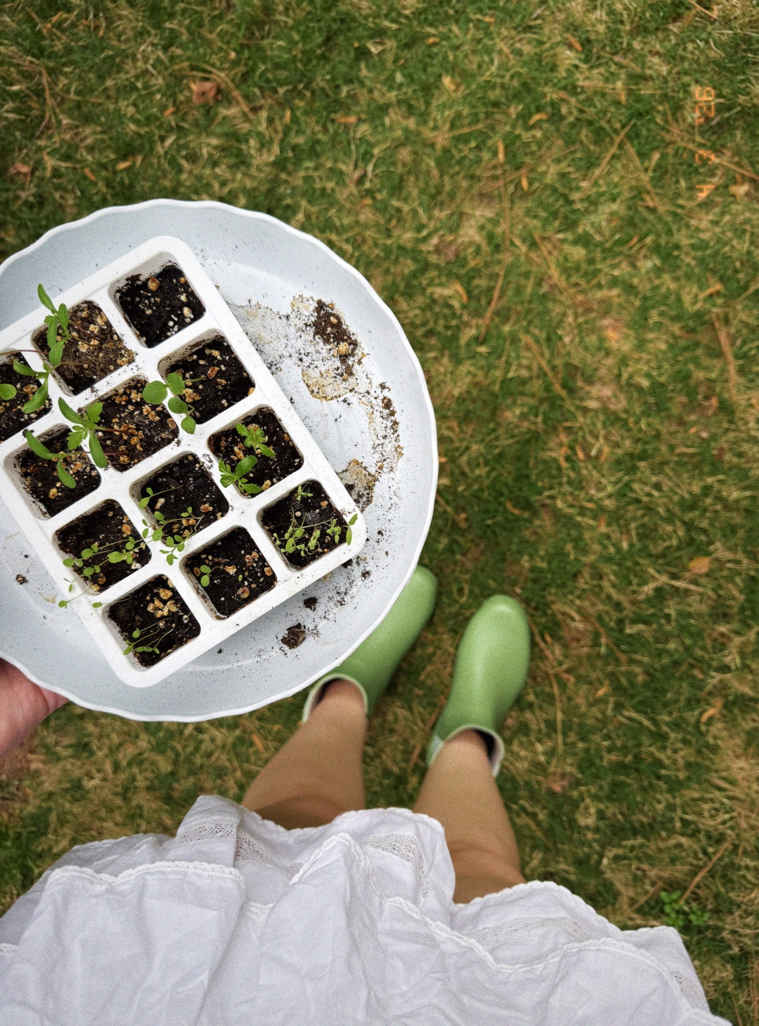 Garden days outfit and vibes 🥕

#LTKdayinmylife #LTKSeasonal #LTKootd