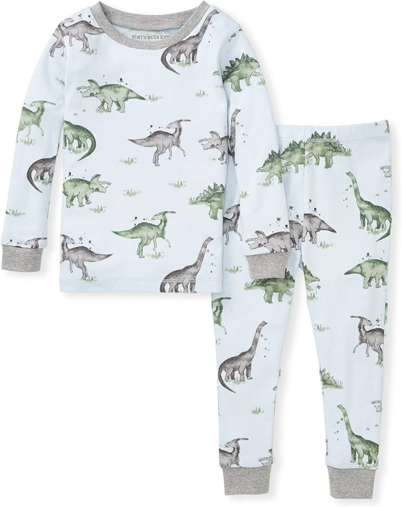 Burt's Bees Baby Baby Boys' Pajamas, Tee and Pant 2-Piece Pj Set, 100% Organic Cotton | Amazon (US)