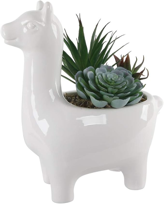 Flora Bunda Artificial Succulent Garden in 11" Tall Ceramic Llama Planter | Amazon (US)