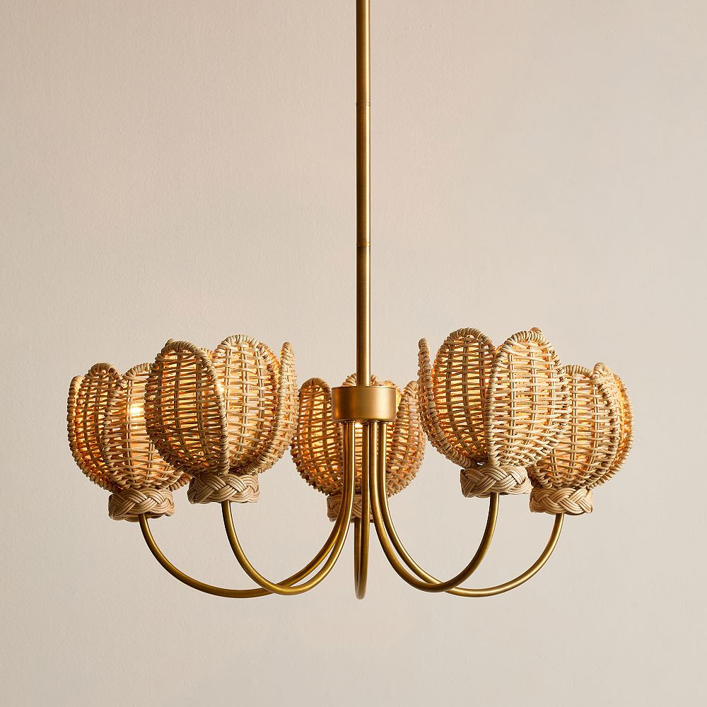 Tulip Chandelier (25") | Pottery Barn Teen